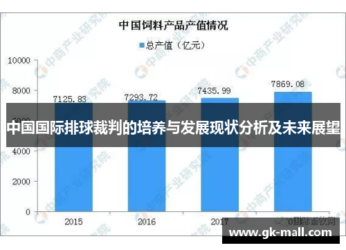 中国国际排球裁判的培养与发展现状分析及未来展望